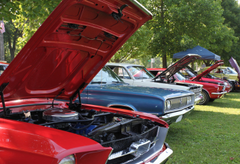 Classic cars on display